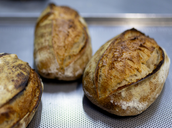 Ոչ միայն խմորեղեն. Papaya-ն հաց է թխում