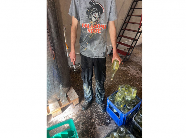  Էրիկի «երրորդ ճանապարհն» ու «Երես գինիների» պատմությունը 