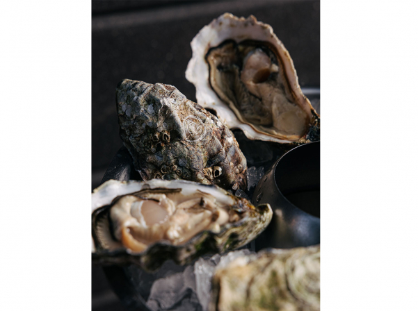 Ոստրեների մեջ «Ռոլս-Ռոյս» համարվող Ժիլարդո ոստրեներն Asador-ում են