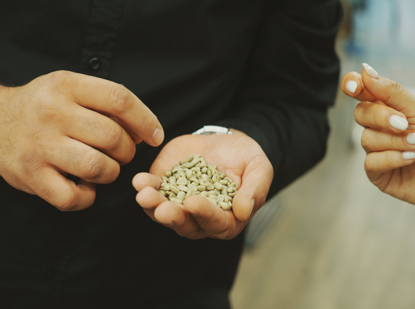 Հասարակածի երկու կողմերում. The Coffee 23.5-ի ճանապարհը 