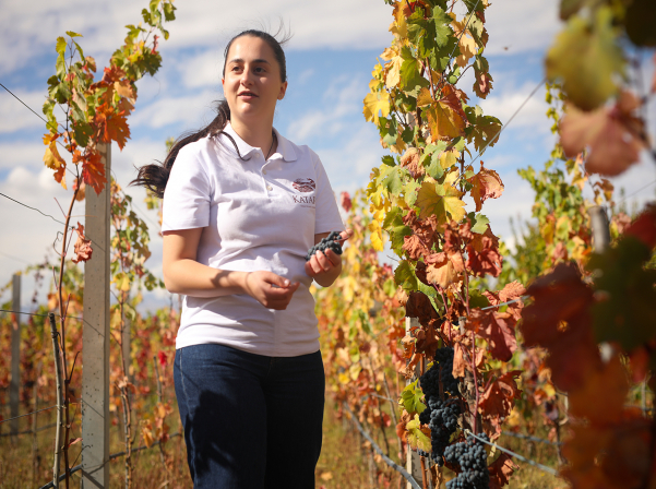 «Կատարոյի աղջիկ» Վերոնիկան եւ Տողից բերված «արմատները» 