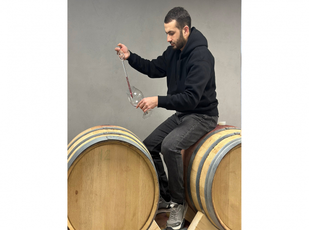 Լալվարին ու Կարմրահյութը բացահայտող «Կինէա» գինիները