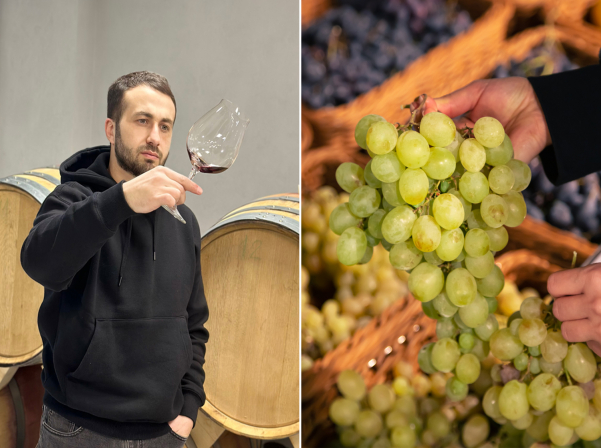 Լալվարին ու Կարմրահյութը բացահայտող «Կինէա» գինիները