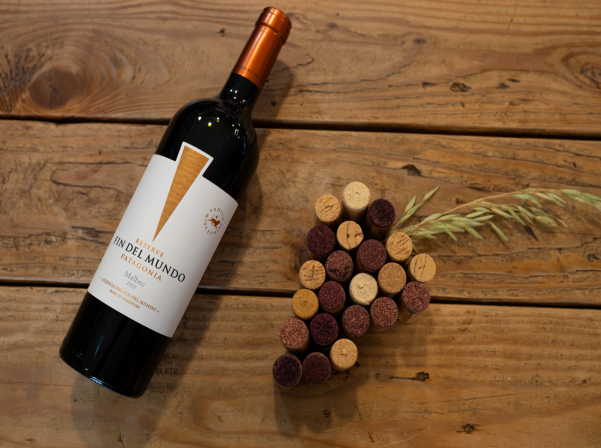 Արգենտինական գինու տարբեր ոճերը՝ Մարիամ Սաղաթելյանի մեկնաբանությամբ