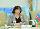Azerbaijan intends to hold early elections 